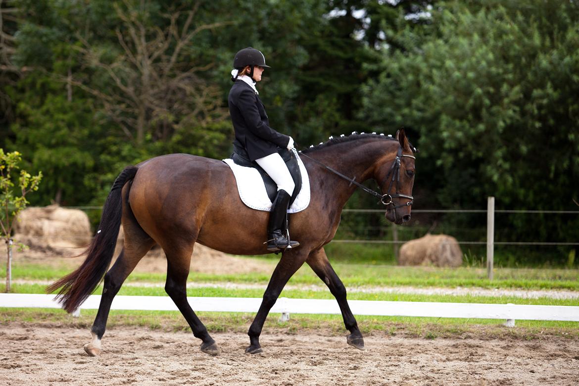 Anden særlig race St. A. Washeba - GSPR 29-07-2012 :) billede 2