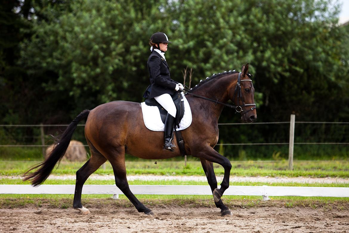 Anden særlig race St. A. Washeba - GSPR 29-07-2012 :)  billede 1