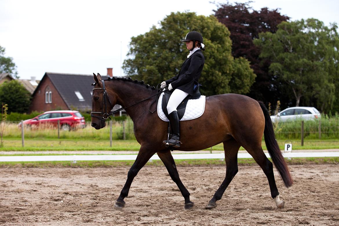 Anden særlig race St. A. Washeba - GSPR 29-07-2012 :)  billede 3