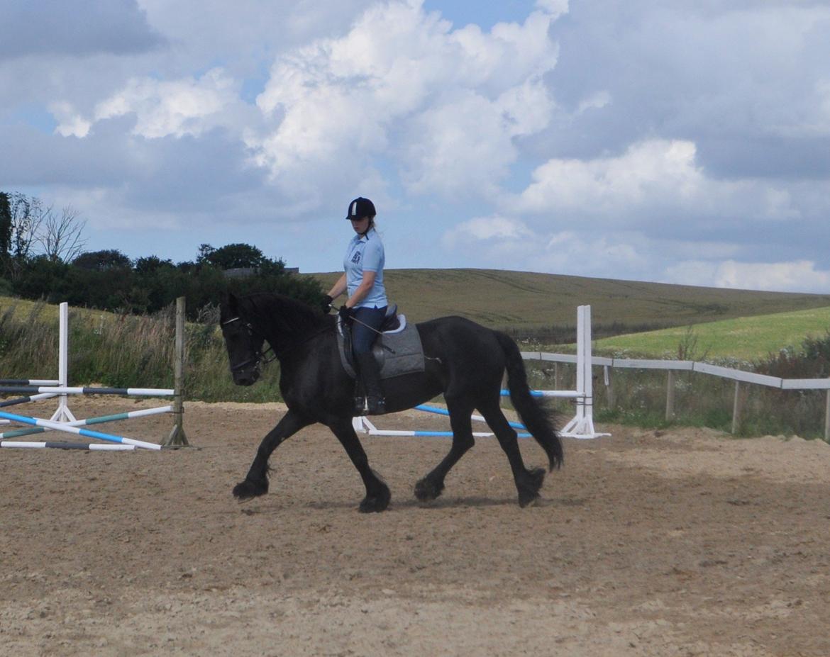 Frieser Geartsje Tjimske K. [Solgt] - Stjernehest.<3 billede 11