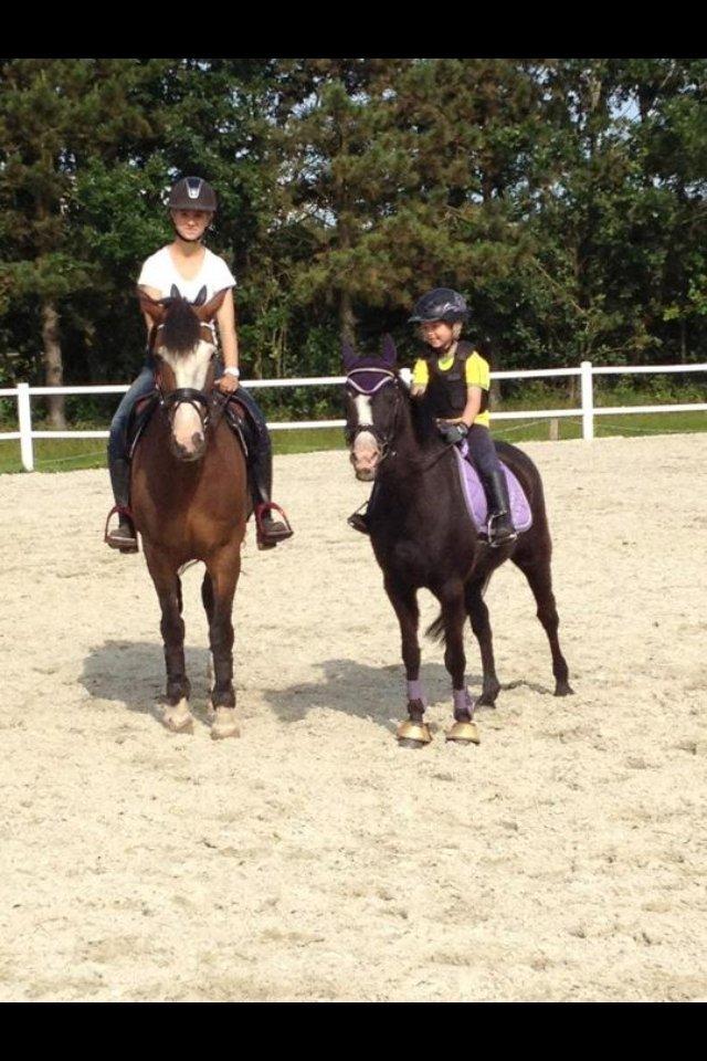 Irsk Sportspony Mr. Nicknack -min nye stjerne- billede 2