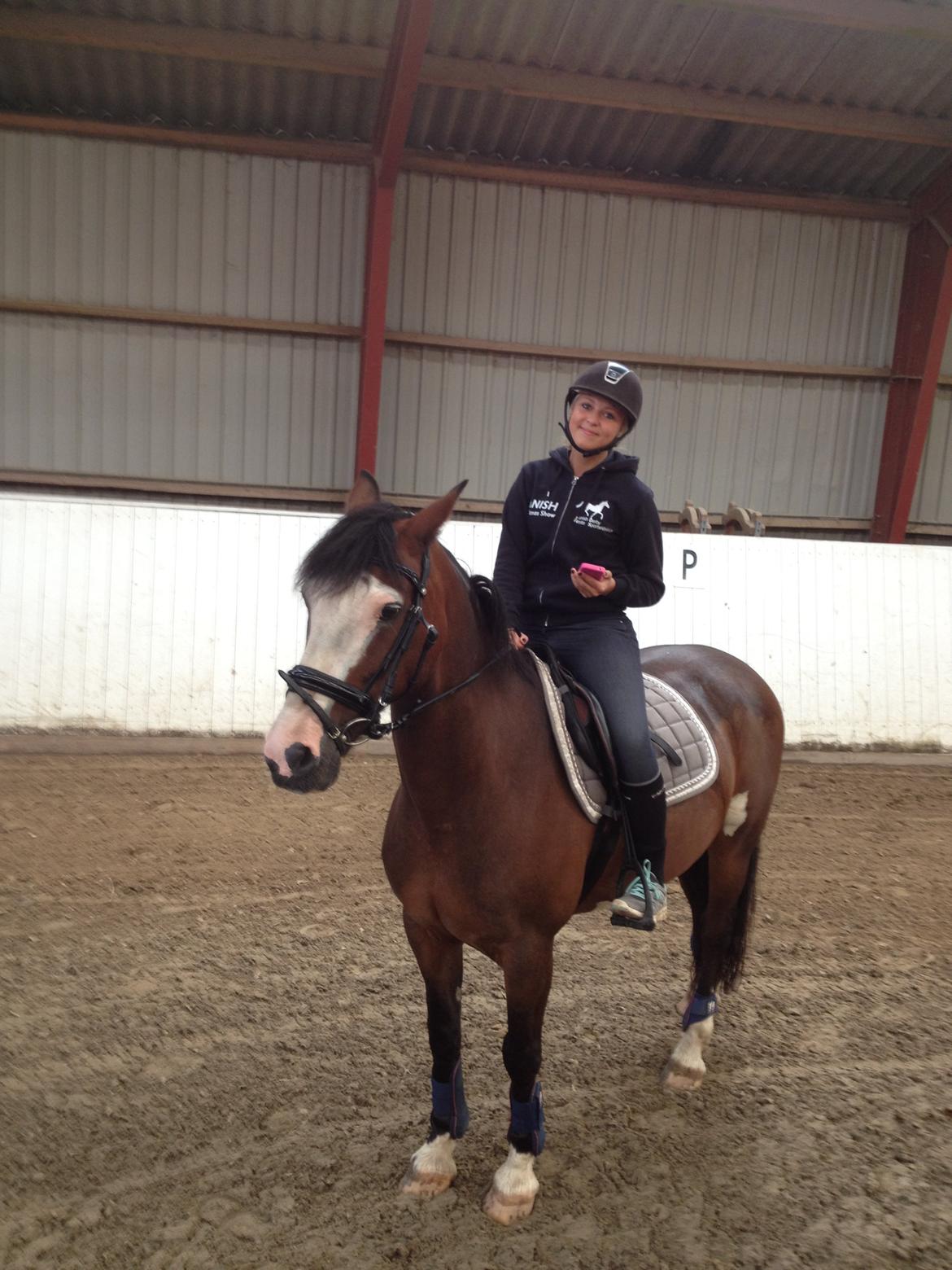 Irsk Sportspony Mr. Nicknack -min nye stjerne- billede 5