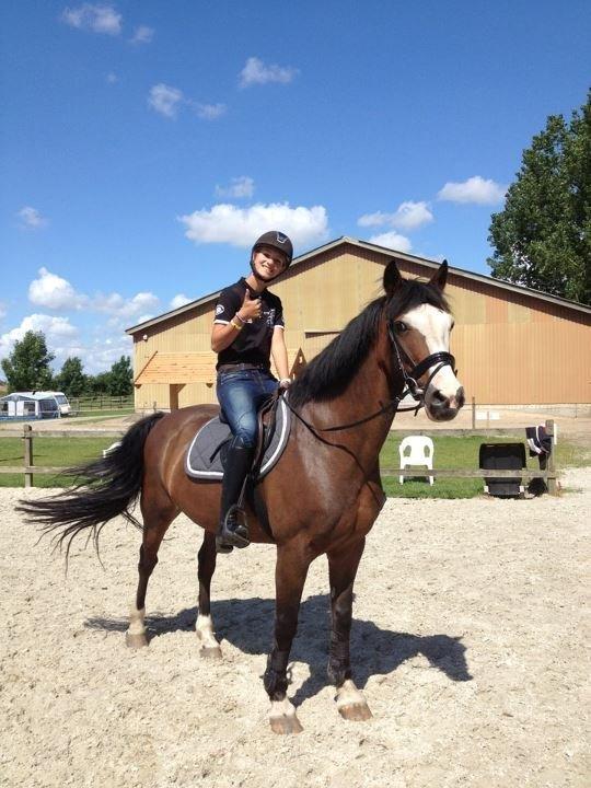 Irsk Sportspony Mr. Nicknack -min nye stjerne- billede 6