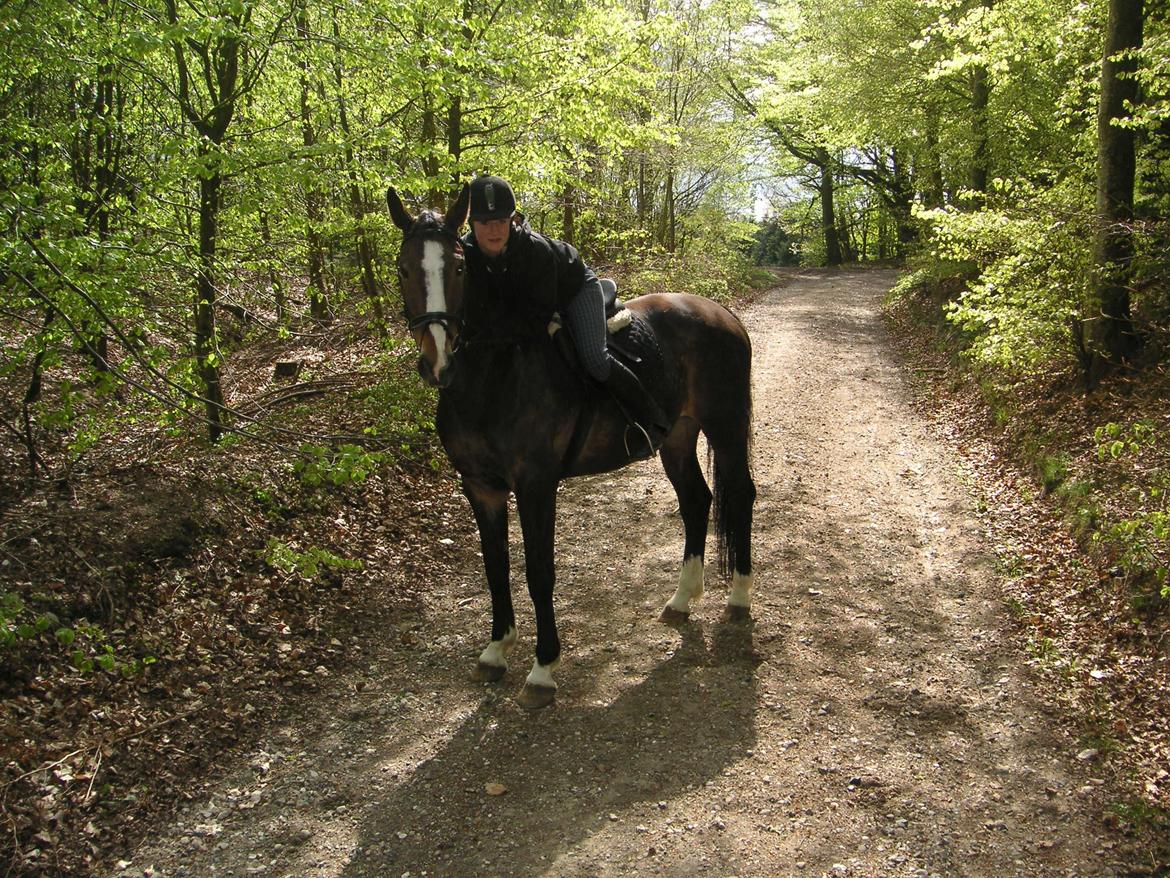 Anden særlig race Millenium Pride - Jeg elsker dig <3 billede 14