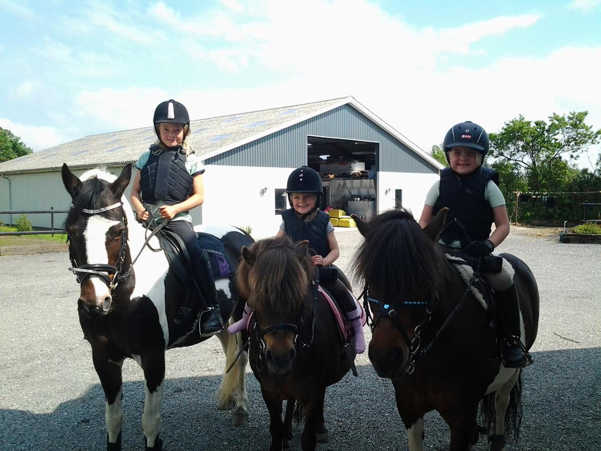 Anden særlig race Spirit - Julie og Miss Speedy. Anna og Cirkeline . Natasja og Spirit billede 4