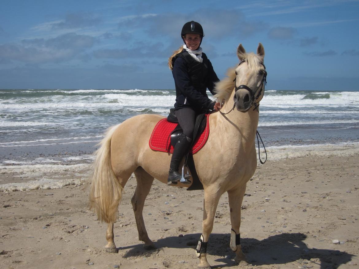 Palomino Bailey<3 - If I could give you one thing in life, I would give you the ability to see yourself through my eyes, only then you would realize how special you are to me. - <3 ved stranden 2012 billede 11