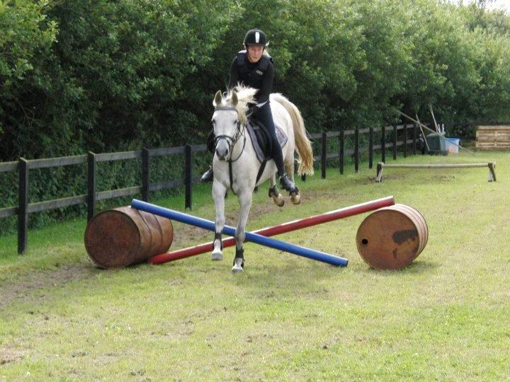 Anden særlig race Dundee<3 - første gang vi springer bane<3 billede 11