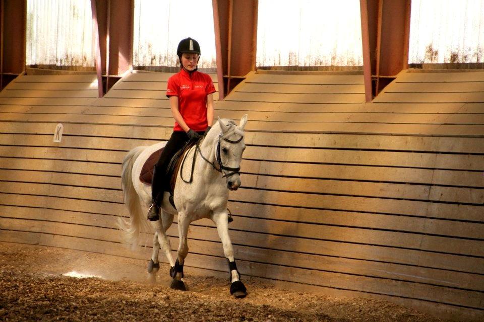 Anden særlig race Tristan Silverboy - Ridelejr 2012 billede 16