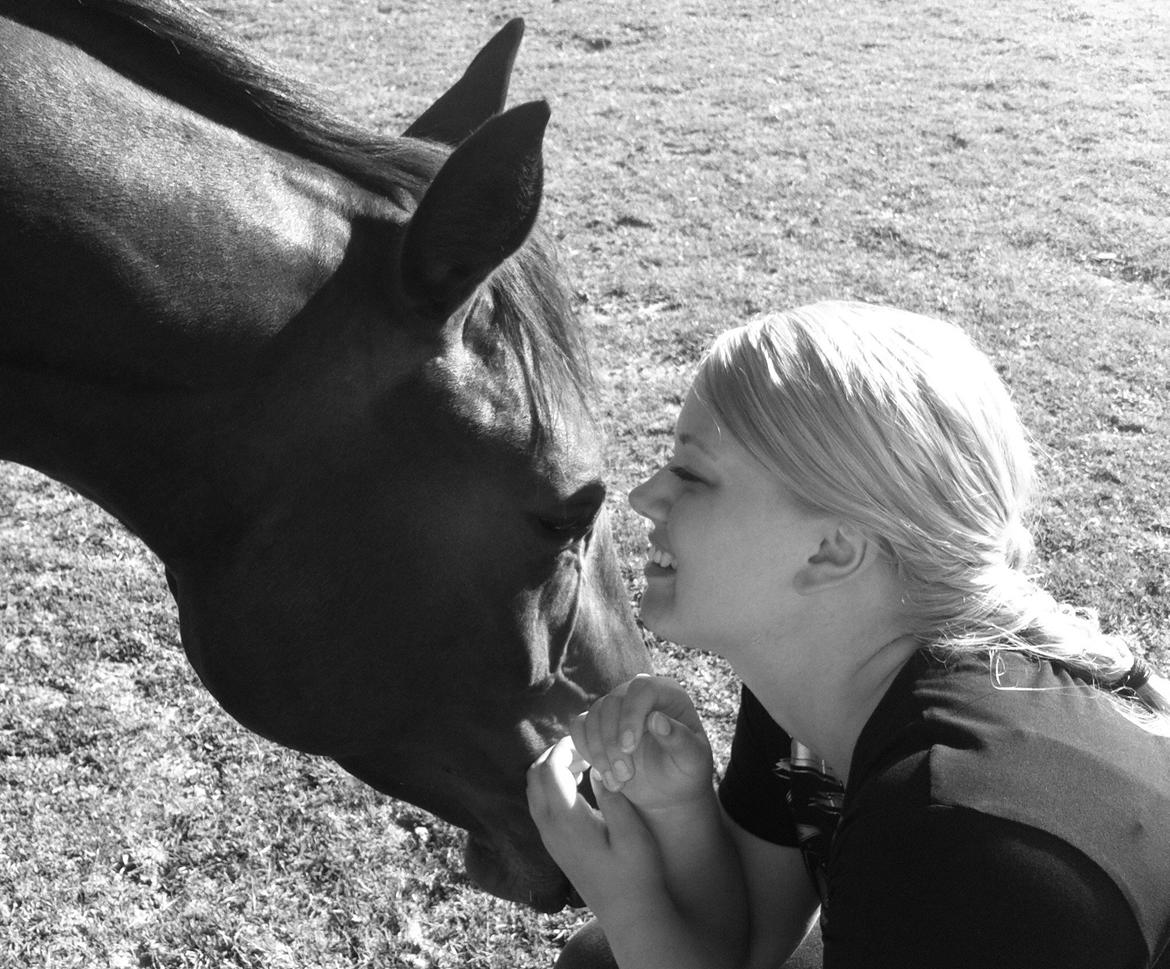 Dansk Varmblod Lady Portia - Lady & Jeg hygger på folden. billede 1
