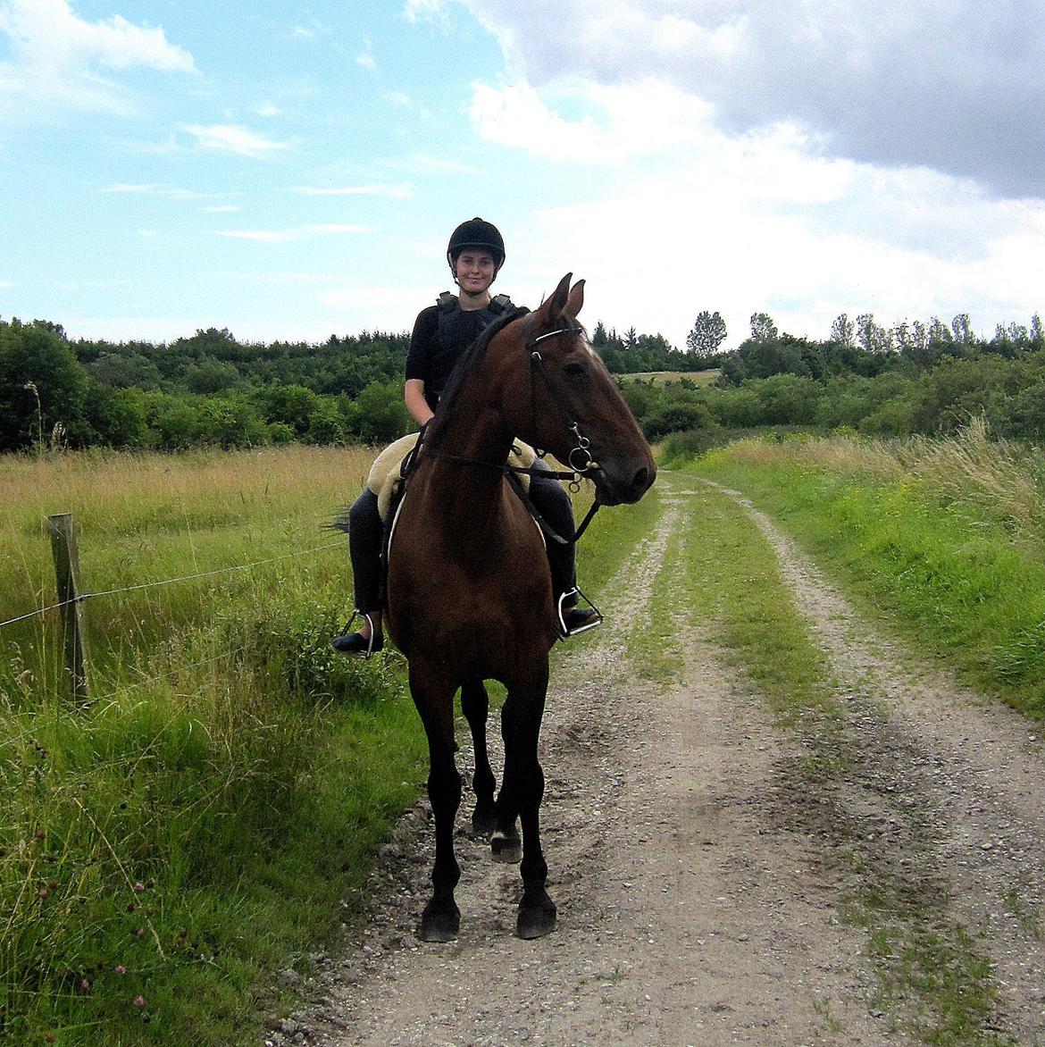 Dansk Varmblod Felicity bbh | Felle <3 - Nr . 19 <3 Foto: Anna Rydell <3 feeeeelle <3 Elsk på felle og elsk på lammesinds sadel <3 :D hehe billede 19