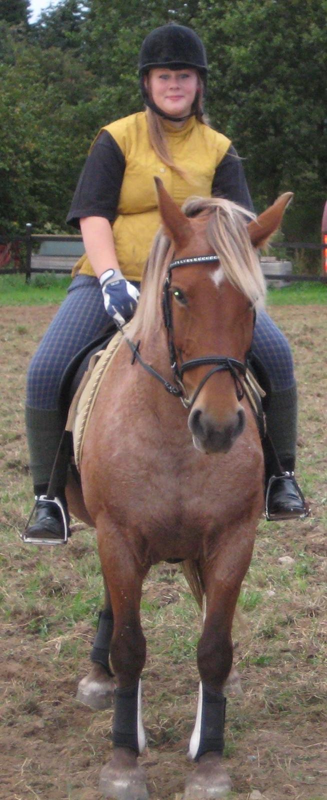 Anden særlig race Baliey [Himmelhest] - Jeg er stolt af og være ejer til denne her fantastiske Pony!<3 billede 2