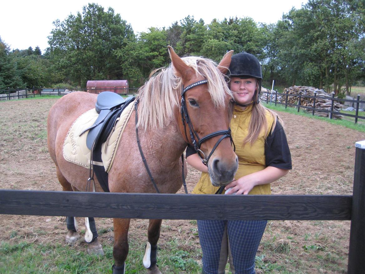Anden særlig race Baliey [Himmelhest] - Ingen kan skilles Mig og Bailey, vi er knyttet stærkt til hinanden, vi kan alt sammen !<3 billede 6