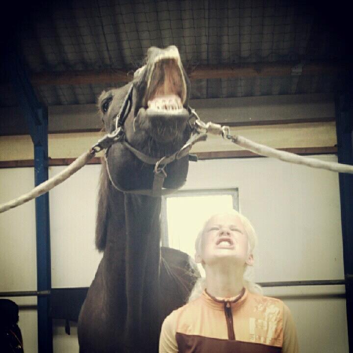 Anden særlig race Apollo - Noget må jeg ha gjort rigtigt, siden jeg fortjener dig♥ billede 6