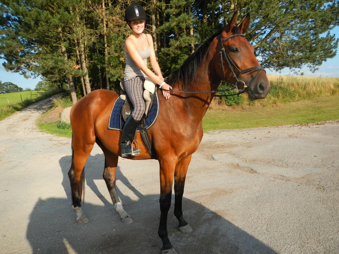 Anden særlig race Bruno Hartvig - Den grimme ælling, er blevet en smuk svane :)  billede 10