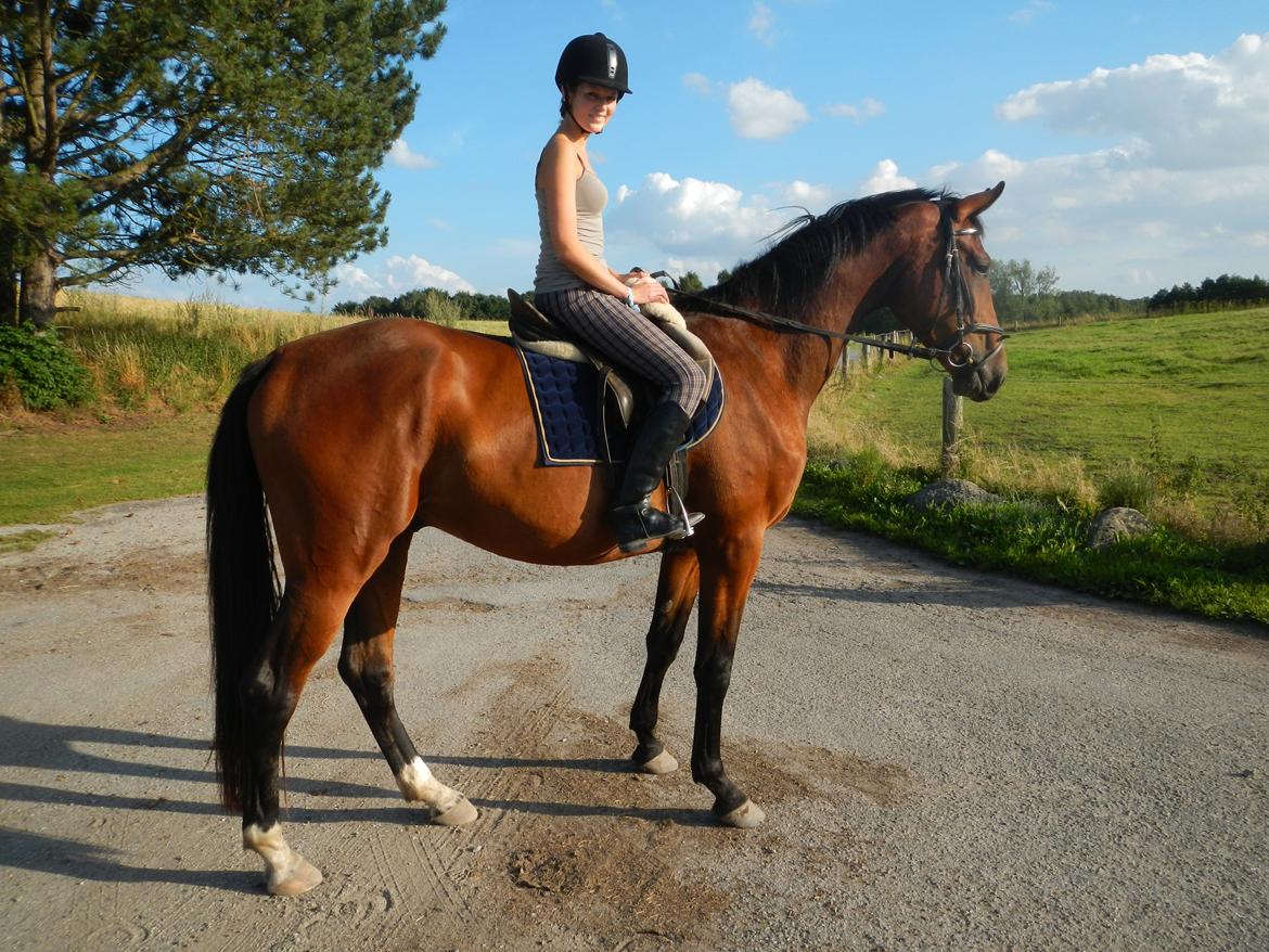 Anden særlig race Bruno Hartvig - Sommer 2012 billede 11