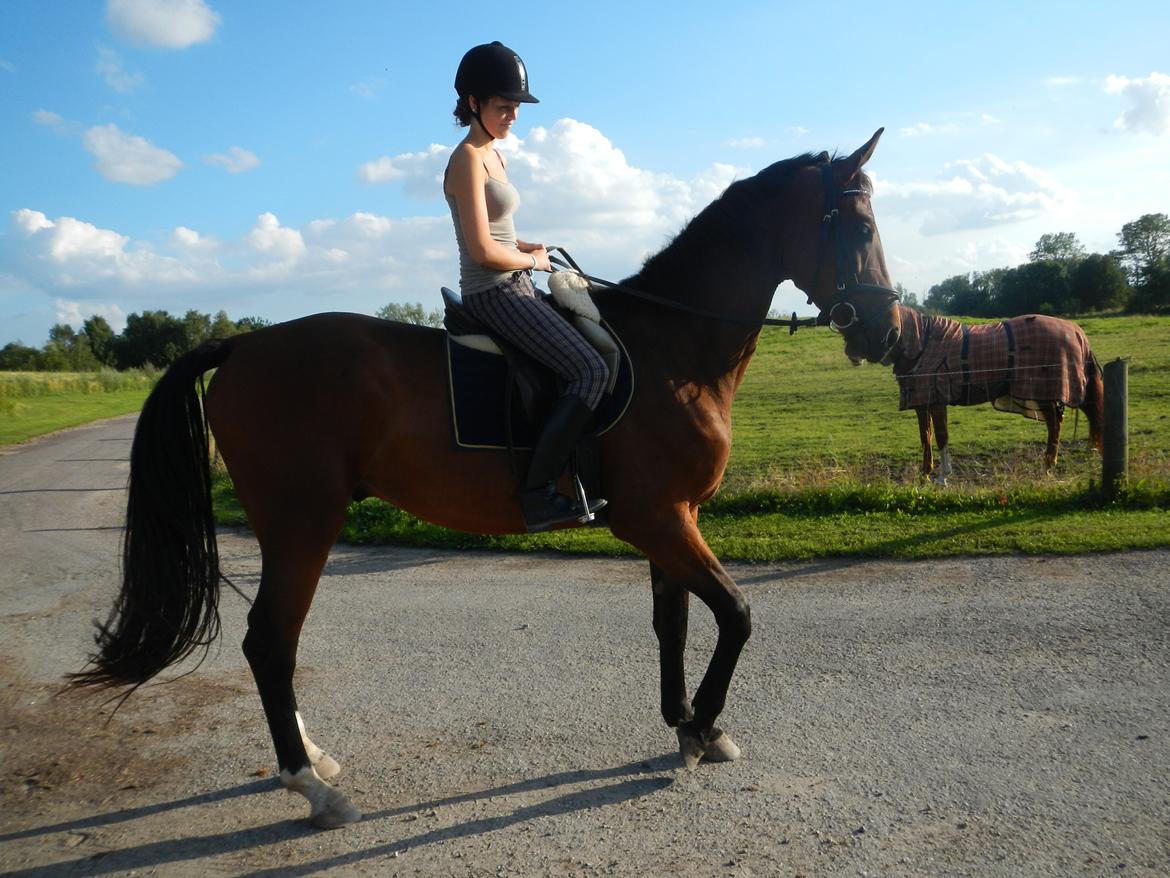 Anden særlig race Bruno Hartvig - Sommer 2012 billede 12