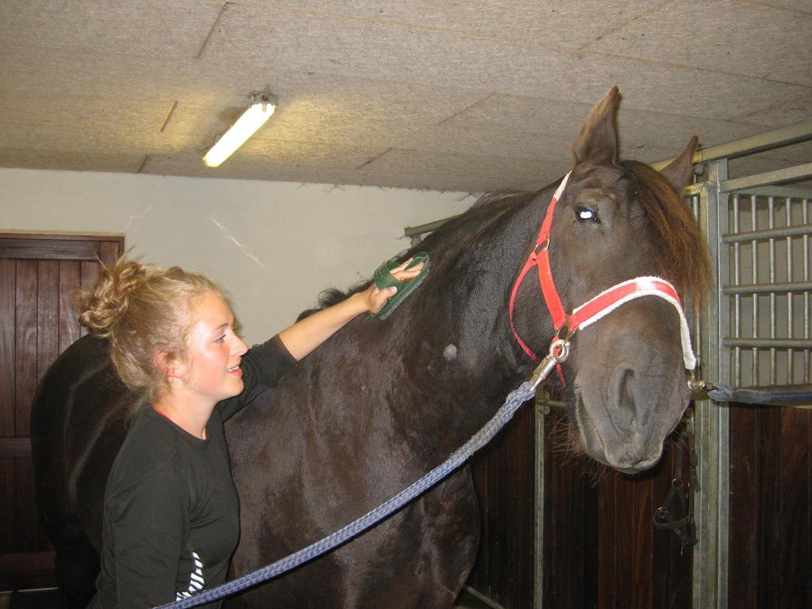 Frieser AKKE FAN DE SLACHTEDYK (Red og passede) - Det er deeejligt at blive gnubbet..! :) Søde Akke d.4. august 2012 billede 14