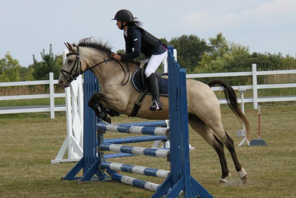 Anden særlig race Roosgårdens Campari - LA* til c-stævne i Lerbæk 
Foto: Nanna Busk billede 7