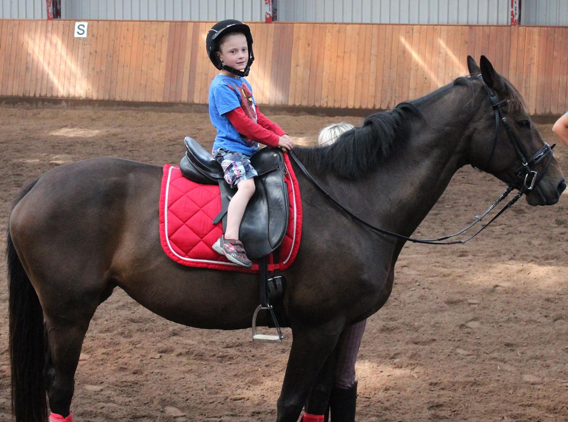 Dansk Varmblod KOKO R.I.P - Simon på 4, ville også ride på Mor's hest :) billede 16