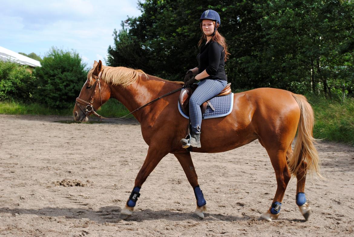 Frederiksborg Bakkegårds Nathasja billede 4