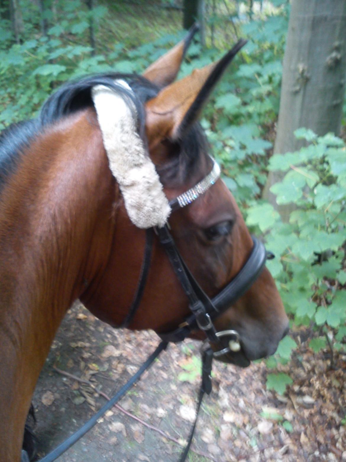 DSP Juliane Søblink<3 billede 12