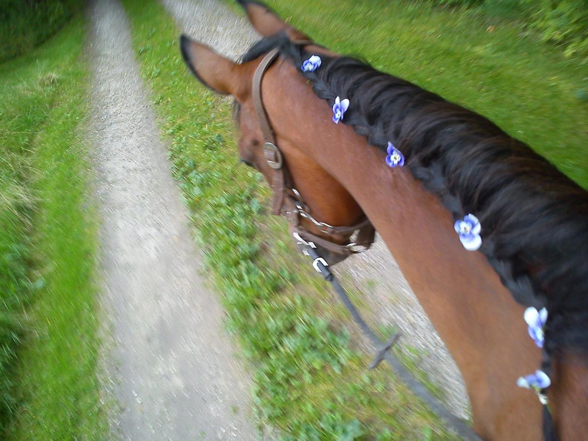 DSP Juliane Søblink<3 billede 13