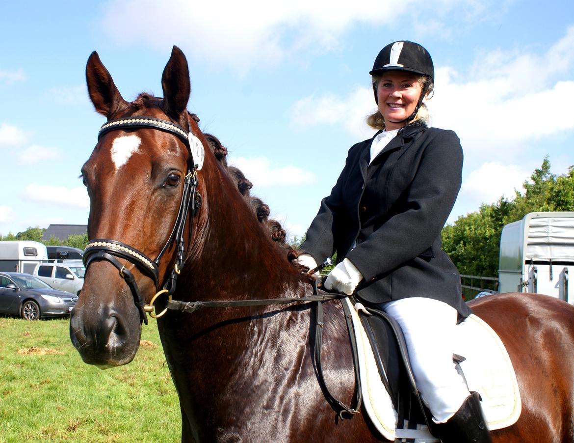 Dansk Varmblod Don Deigo II af Lilleris billede 1