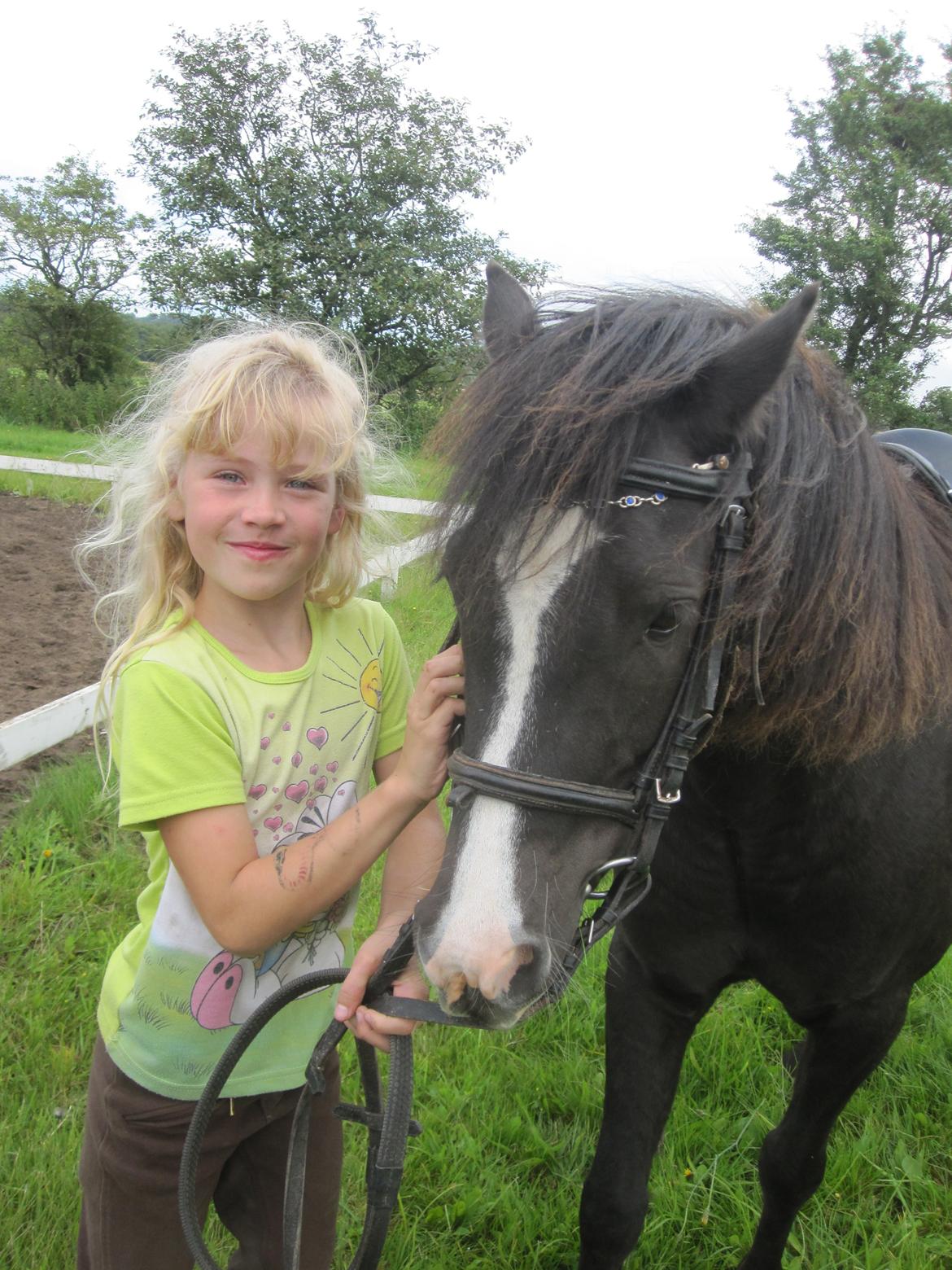 Anden særlig race Aslan billede 8
