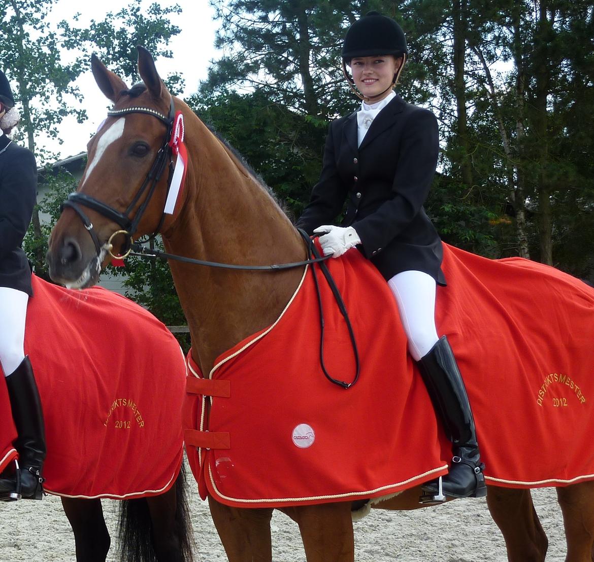 Dansk Varmblod Pentagon K. - 1) Distriktsmester for junior 2012 <3 Min stjernehest! <3 billede 1