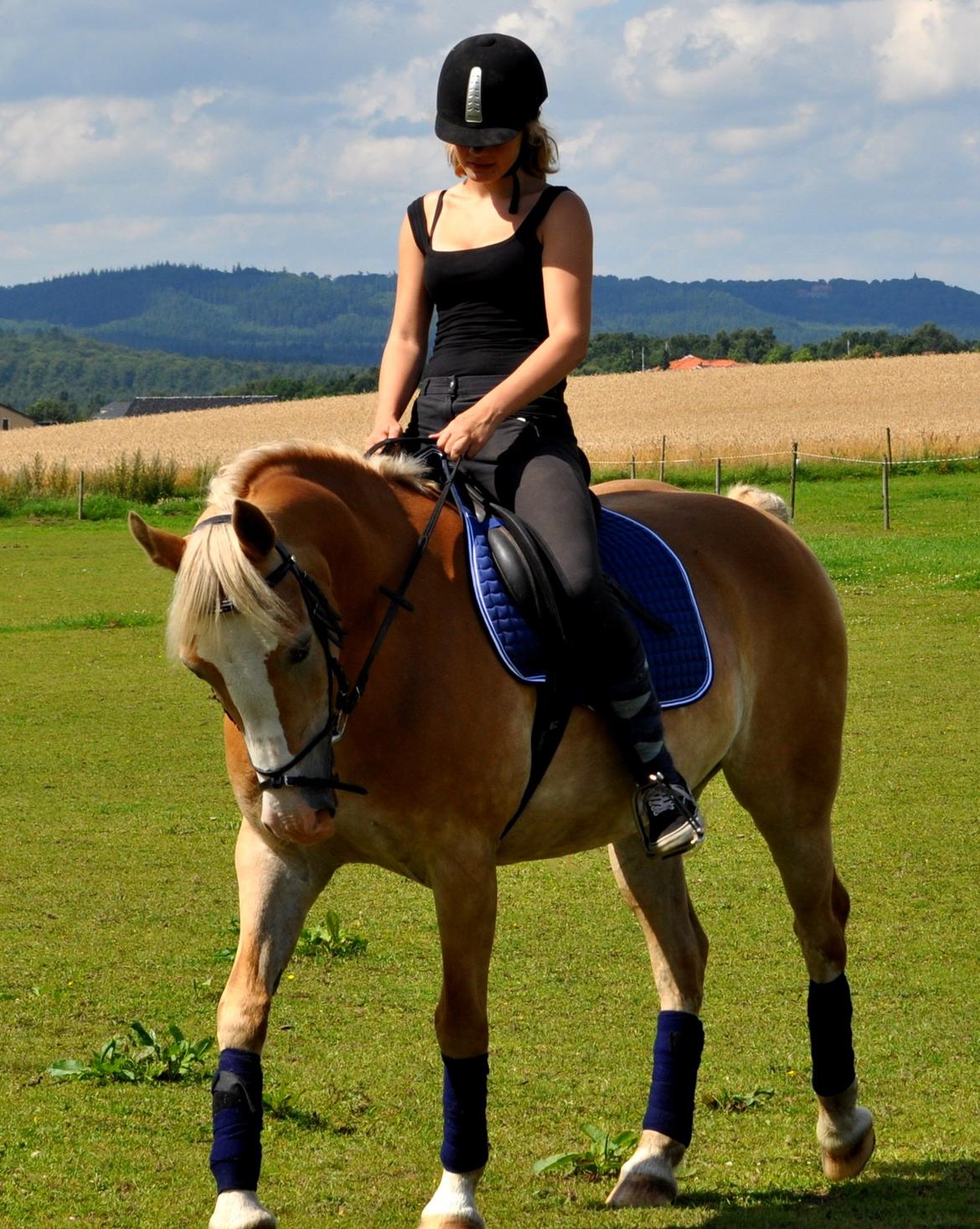 Palomino Tara - My Soulmate - Dressur er da ingen sag, vel prutpony? :D billede 14