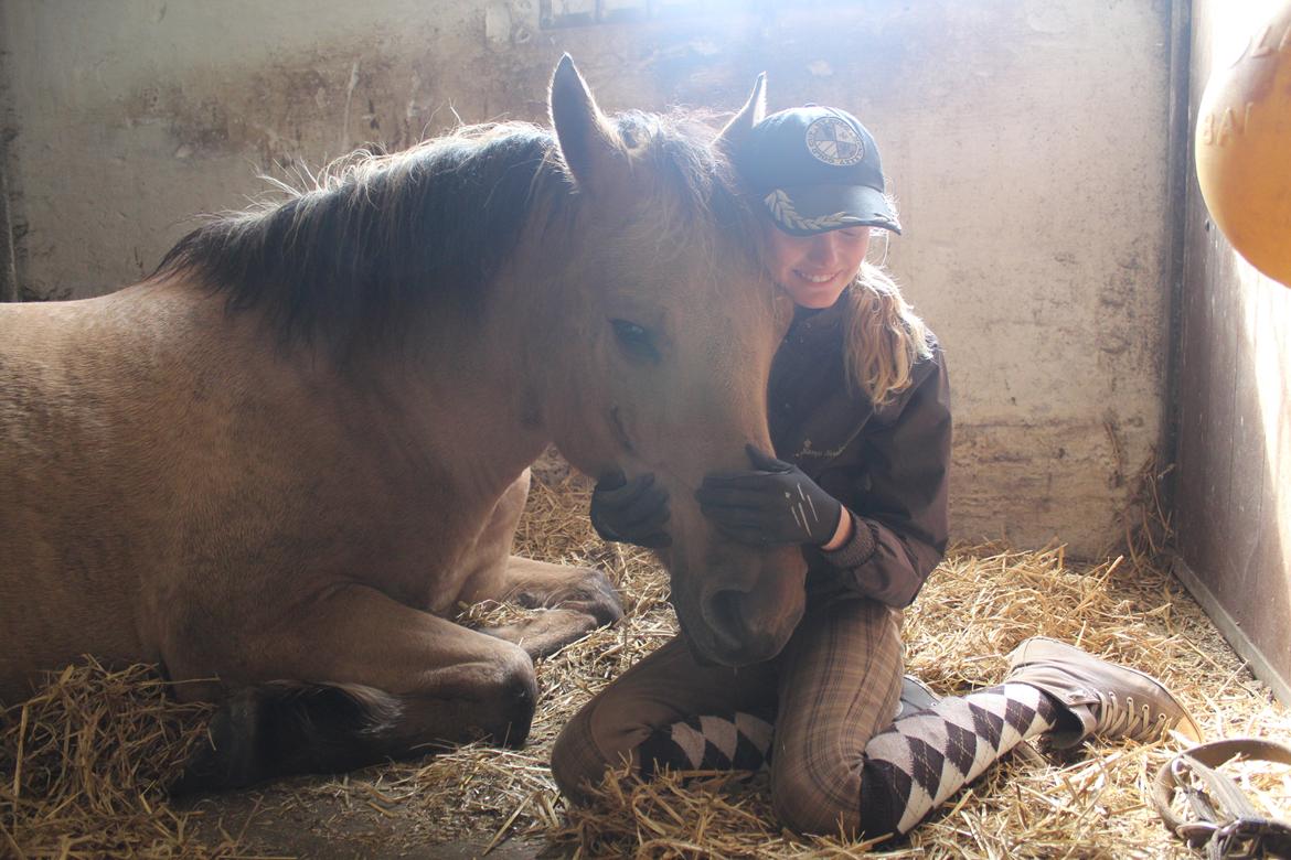 Anden særlig race Momrik [Min baby] - 5 August 2012 ~ En træt lille hest♥ (Foto: Mie Busk Vedel) billede 18