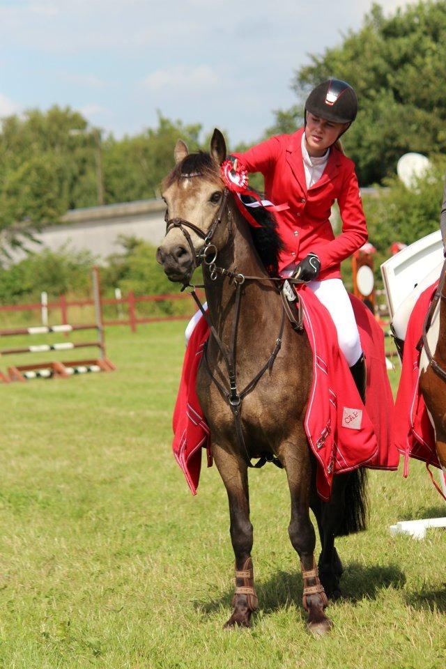 Connemara Enghøjs Rebel Joy B-pony - [Tidl. hest] - Vinder af holdspring 2012

 Joy-musen<3<3 billede 1