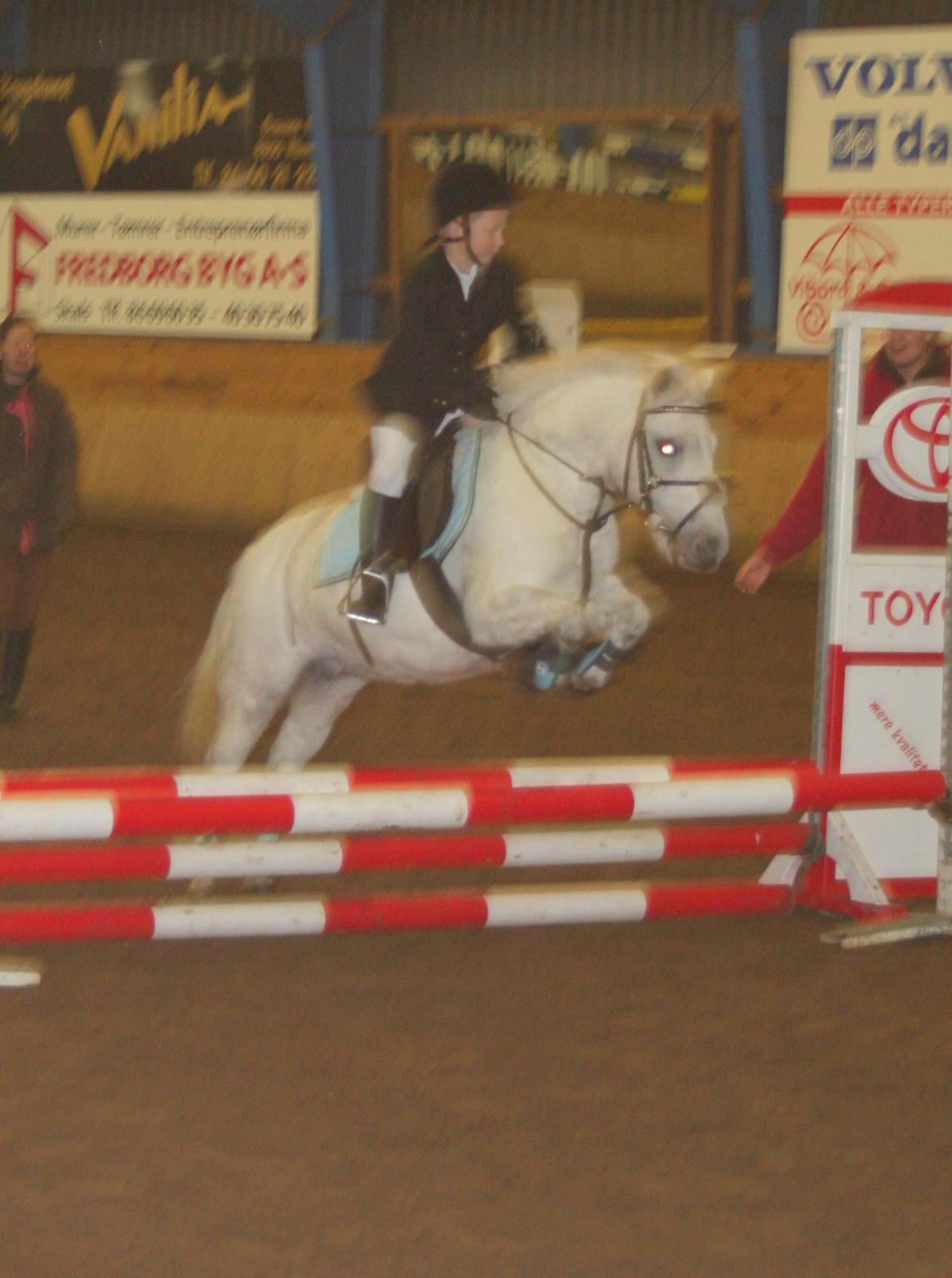 Anden særlig race Dollargirl´s Lucky *R.i.p* - Andreas og Lucky til stævne i Viborg Vintreren 2007. billede 9