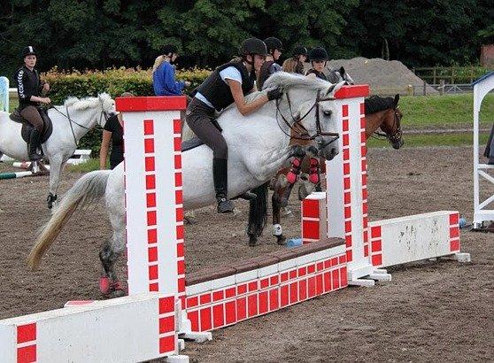 Anden særlig race Jessie billede 14