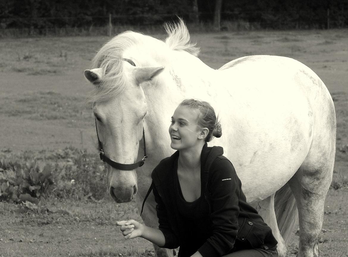 Anden særlig race Jessie billede 15