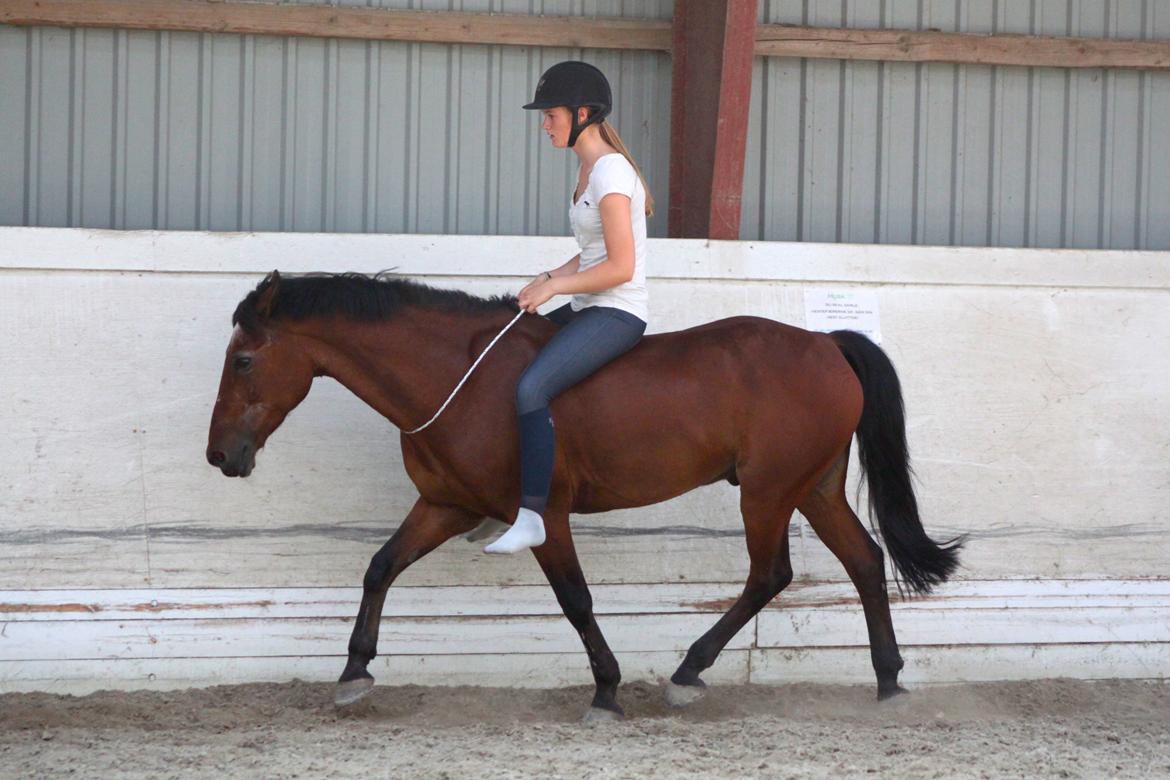 Anden særlig race Bip Bip - DRØMMEPONYEN - doing what you love is freedom, loving what you do is happiness billede 18