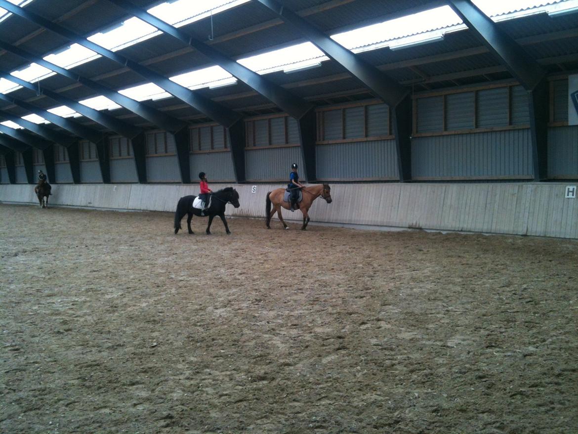 Anden særlig race Amanda <3 **PART** billede 5
