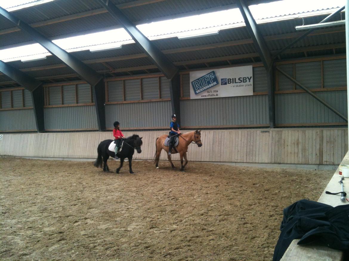Anden særlig race Amanda <3 **PART** billede 6