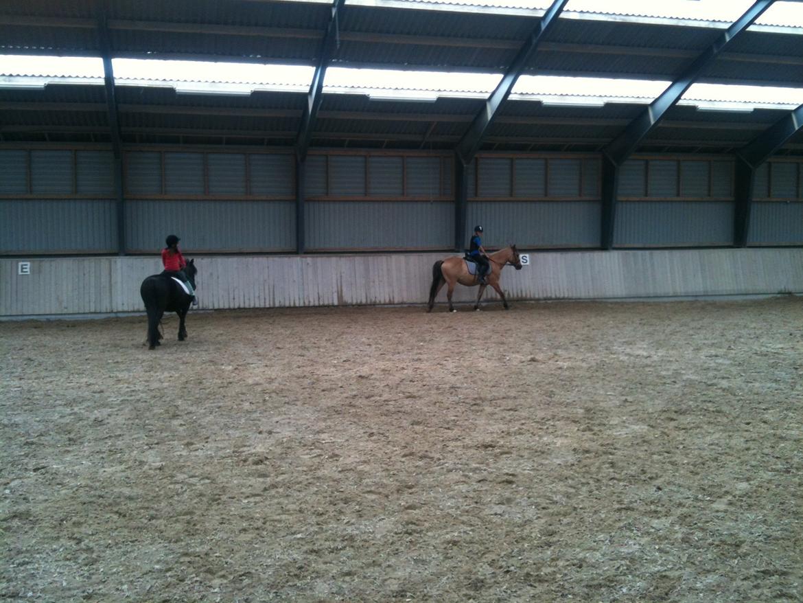 Anden særlig race Amanda <3 **PART** billede 7