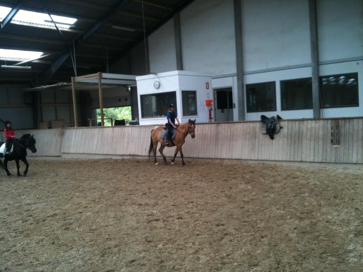 Anden særlig race Amanda <3 **PART** - Smaly billede 9