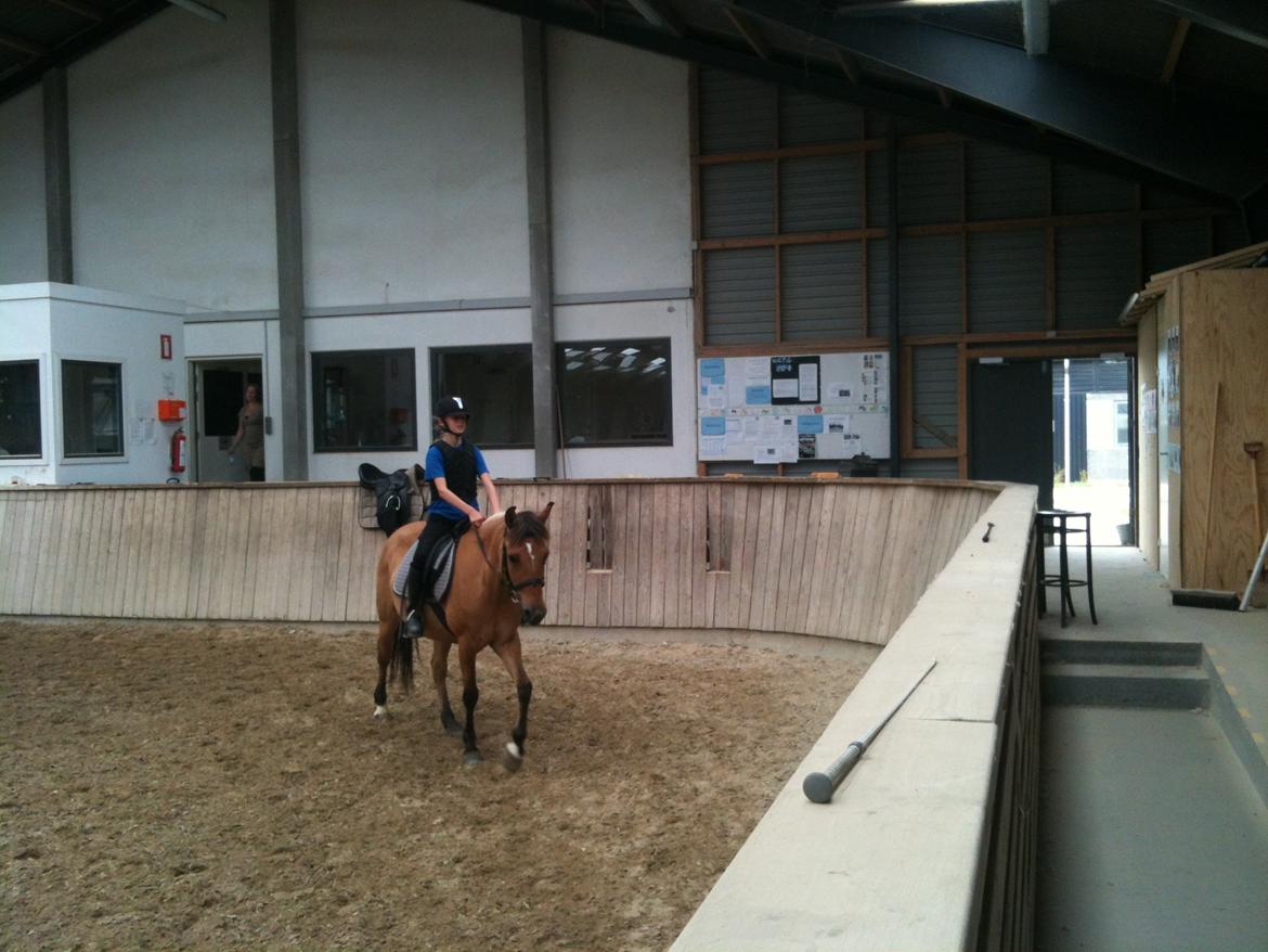 Anden særlig race Amanda <3 **PART** billede 1