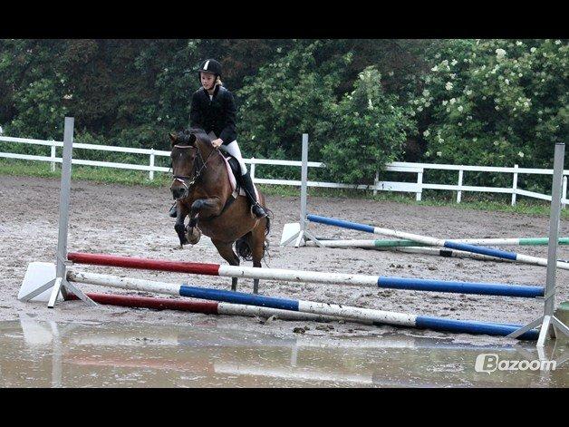 DSP Tværhøjgårds Athene ( mit et og alt )<3 - til stævne...............<33333 billede 19