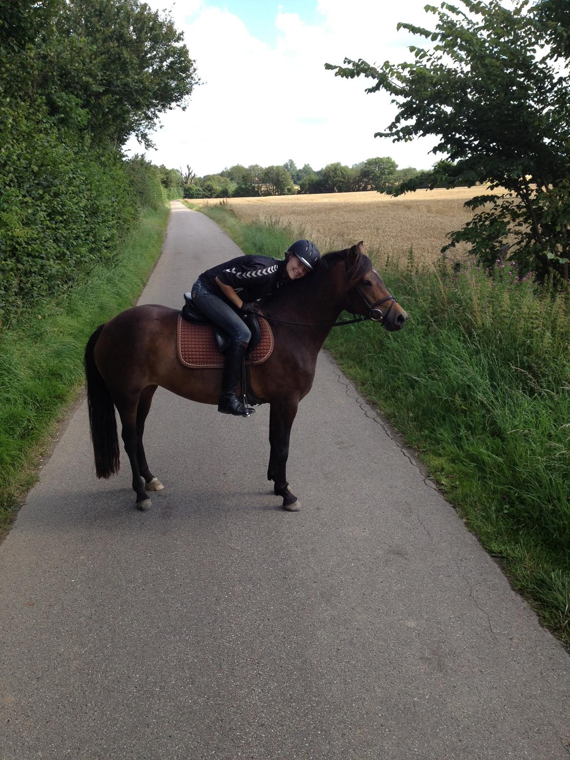 New Forest Glenwood Maple Hill - På tur med Maple :D<3 billede 21