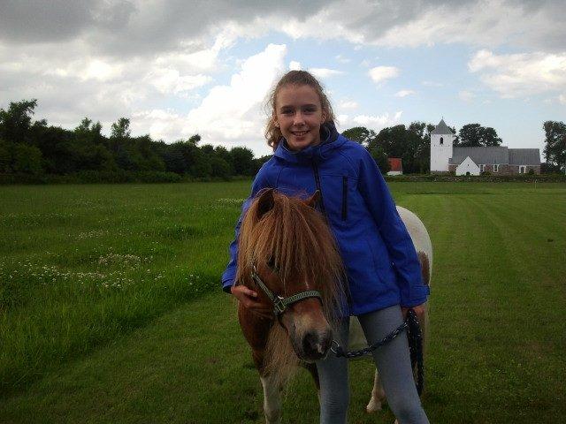 Shetlænder Tulle - Tulle ''elsker'' at komme ud og gå!
Foto: Moar! billede 7