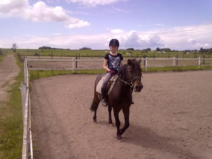 {{currentPhoto.altText}} billede {{currentPhoto.number}}