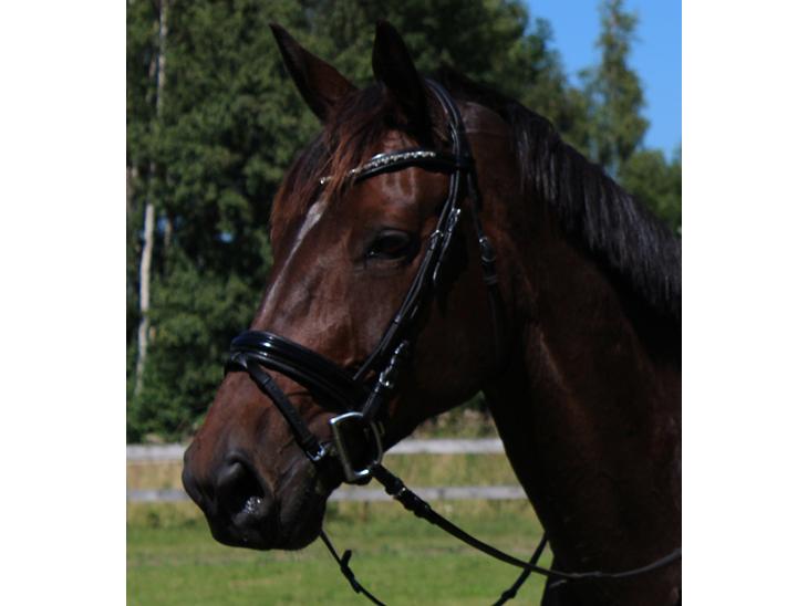 {{currentPhoto.altText}} billede {{currentPhoto.number}}