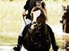 Welsh Pony af Cob-type (sec C) synod Grant(gammel part)  [Tidl. part]