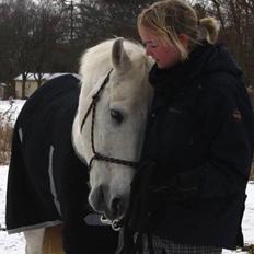 Anden særlig race Silver Star <3 R.I.P :(