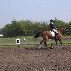 Anden særlig race Simka