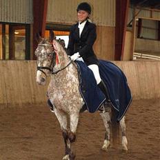 Anden særlig race Nørreleds Confetti